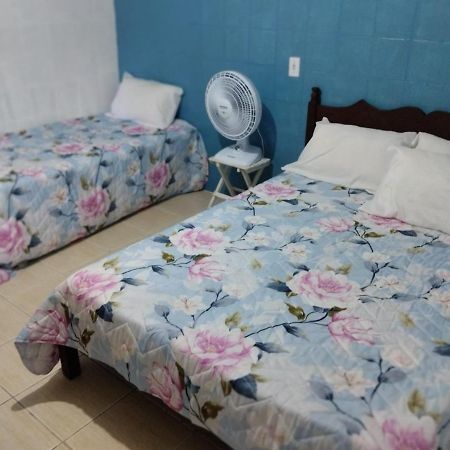 Apartamento Cercado Por Natureza E Diversao Maceió Eksteriør billede