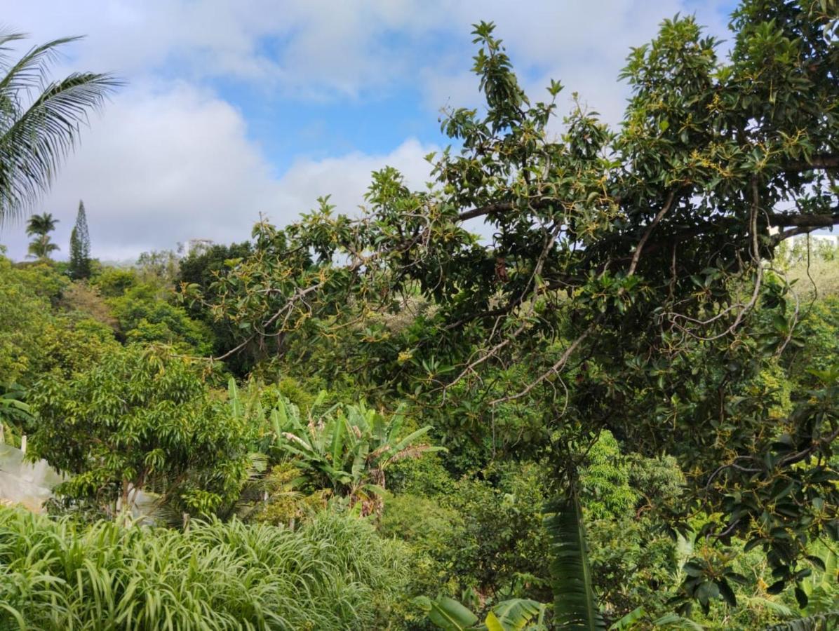 Apartamento Cercado Por Natureza E Diversao Maceió Eksteriør billede